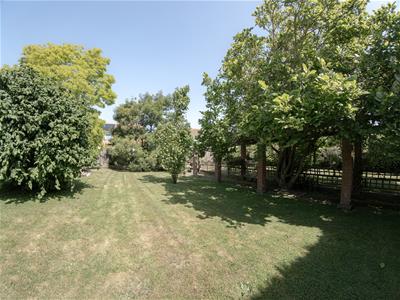 Picture 44